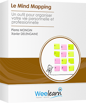 Formation vidéo : Le Mind Mapping - Un outil pour organiser votre vie personnelle et professionnelle