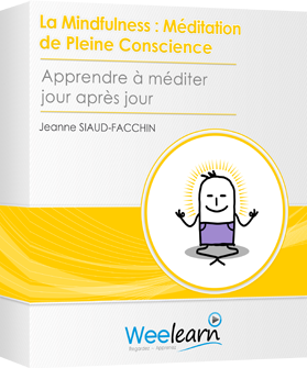 Formation vidéo : La Mindfulness : Méditation de Pleine Conscience - Apprendre à méditer jour après jour