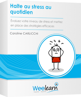 Formation vidéo : Halte au stress au quotidien - Évaluez votre niveau de stress et mettez en place des stratégies efficaces